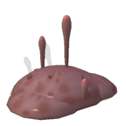Species Archive (In progress) 500631166029_lrg