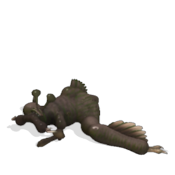 Species Archive (In progress) 500638903073_lrg