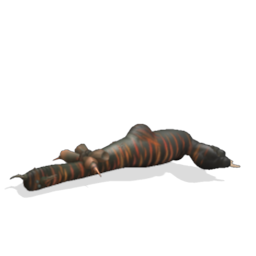 Species Archive (In progress) 500650887191_lrg