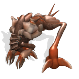 Species Archive (In progress) 500677729991_lrg