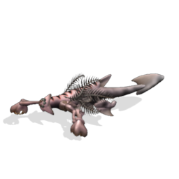 Species Archive (In progress) 500681051692_lrg