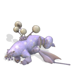 Species Archive (In progress) 500691359836_lrg