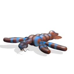 Species Archive (In progress) 500691581264_lrg