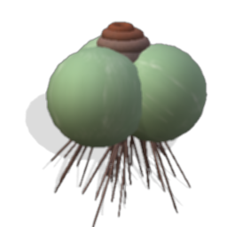 Species Archive (In progress) 500691984612_lrg