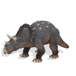 male triceratops