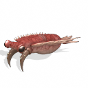 Sporepedia Newest Creations