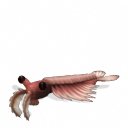 Sporepedia Newest Creations